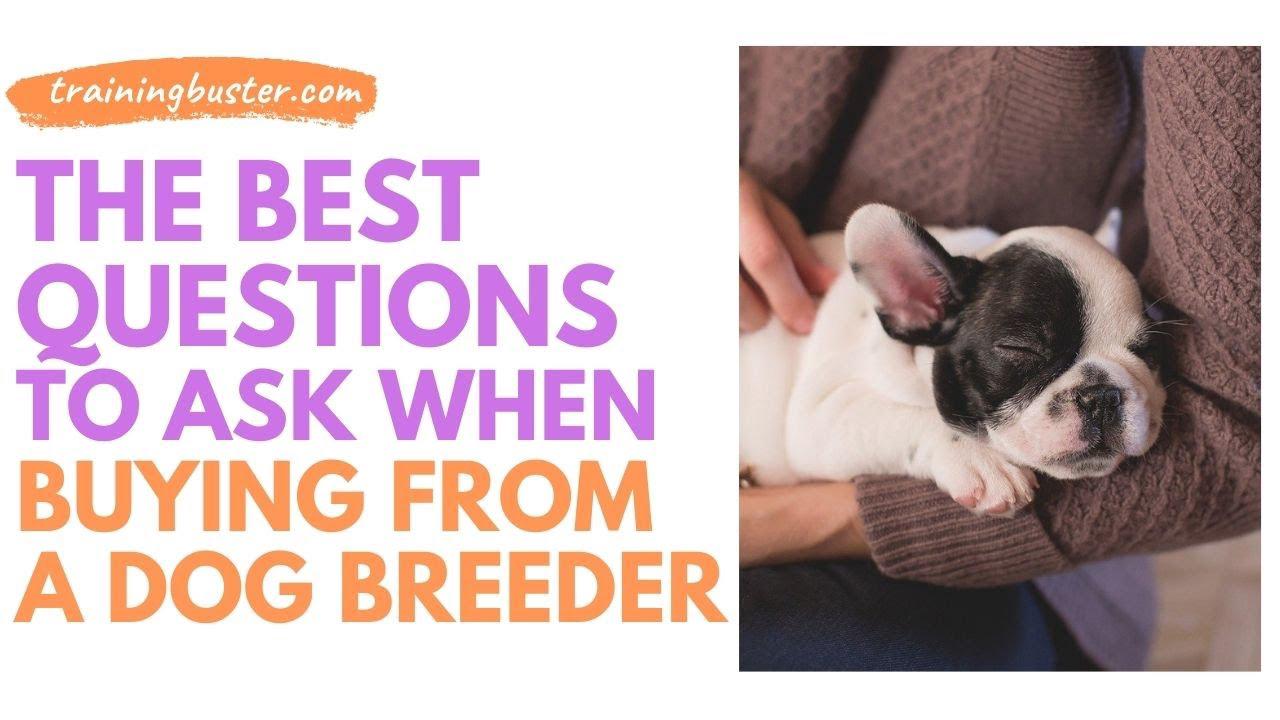 'Video thumbnail for The best questions to ask when buying from a dog breeder'