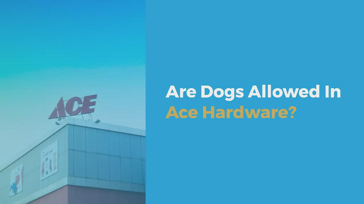 'Video thumbnail for Are Dogs Allowed in Ace Hardware?'