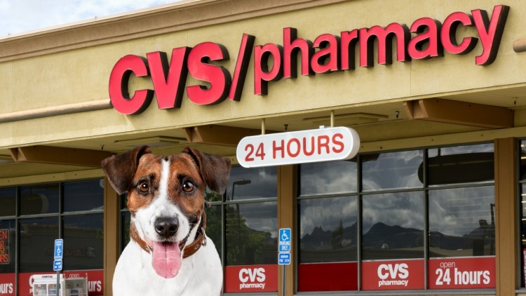 Does CVS Allow Dogs In 2022? (Pet Policy Explained)